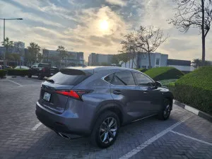 2021 لكزس NX - ان اكس NX350
