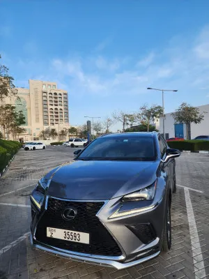 2021 لكزس NX - ان اكس NX350