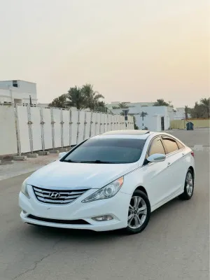 2011 Hyundai Sonata N LIne