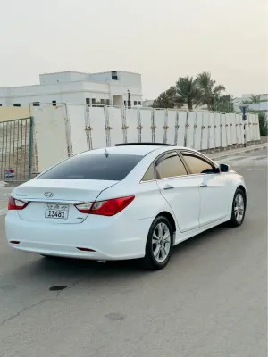 2011 Hyundai Sonata N LIne