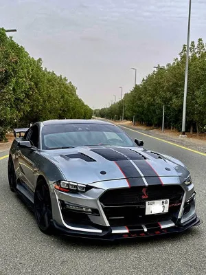 2021 Ford Mustang Shelby GT500