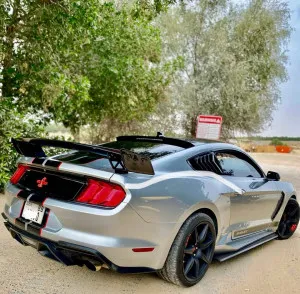 2021 Ford Mustang Shelby GT500