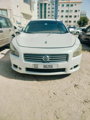 2011 نيسان ماكسيما S