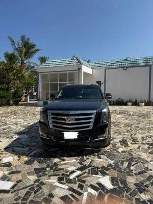 2017 Cadillac Escalade Premium Luxury