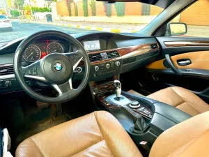2009 BMW 5-Series 530i