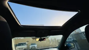 2016 نيسان روج