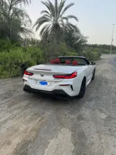 2019 بي أم دابليو الفئة - 8 M850i xDrive