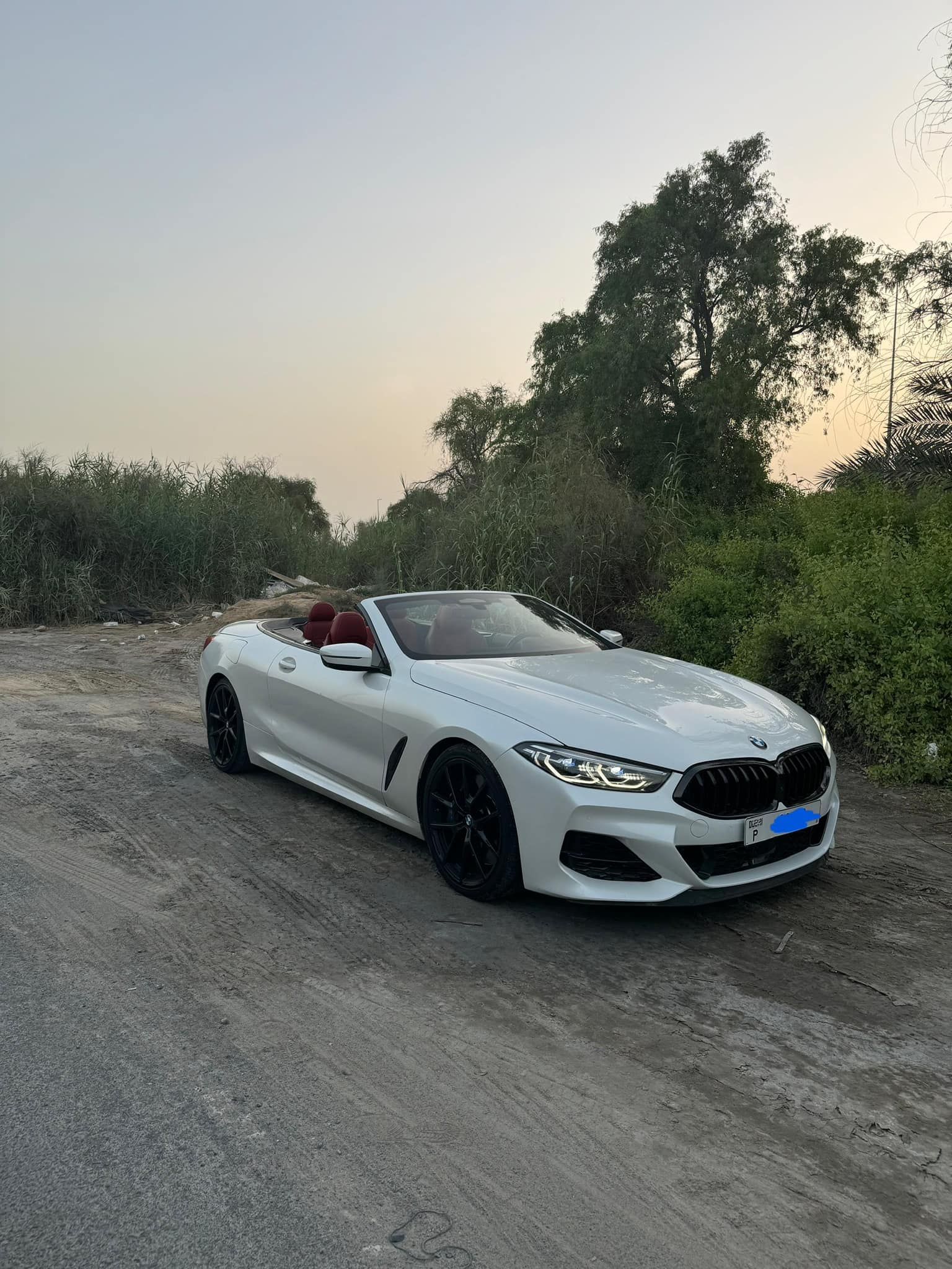 2019 بي أم دابليو الفئة - 8 M850i xDrive