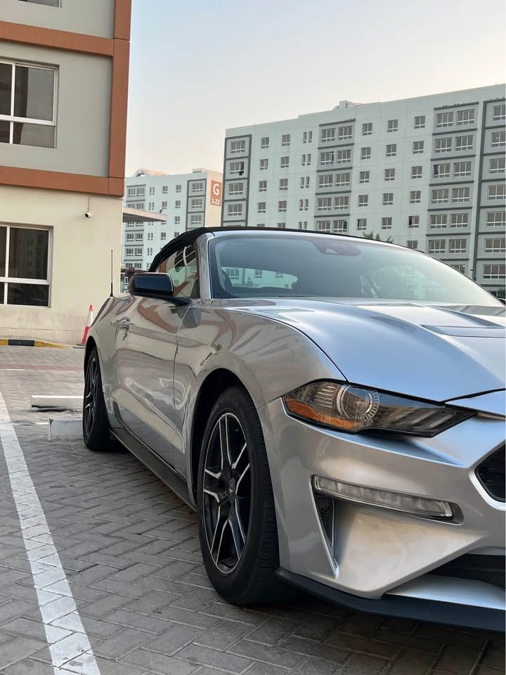 2022 فورد موستانج Performance
