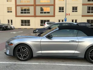 2022 فورد موستانج Performance