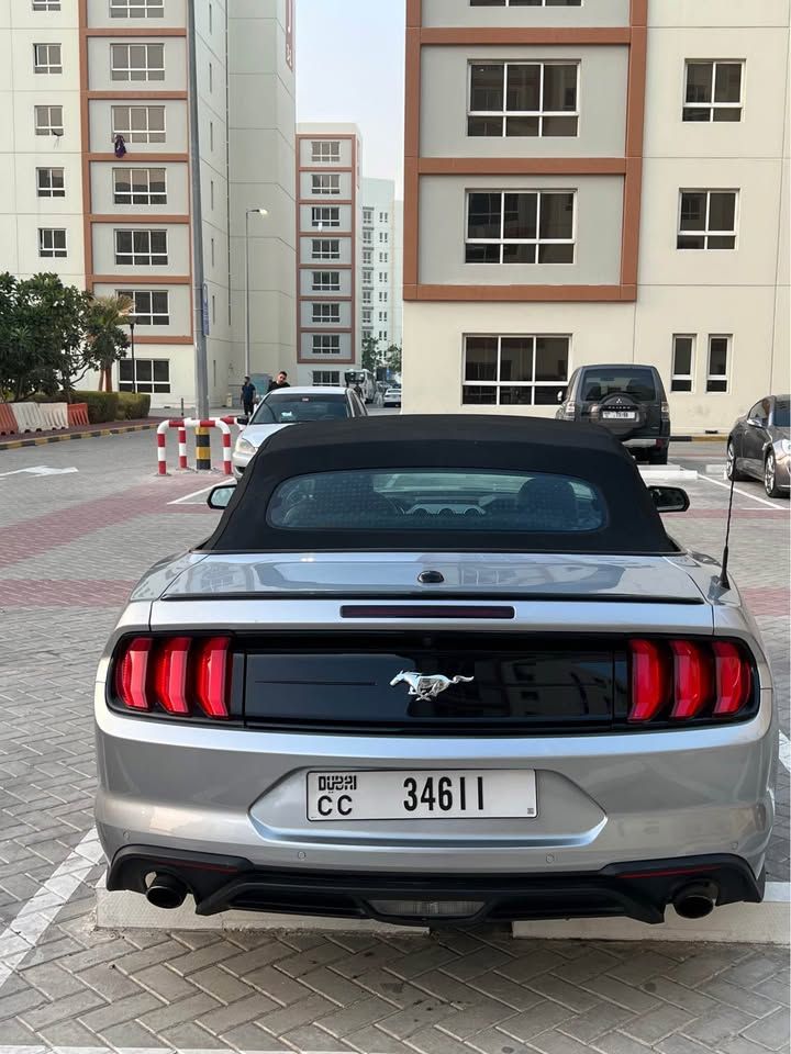 2022 فورد موستانج Performance