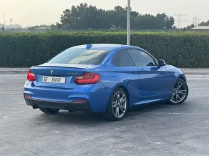 2014 بي أم دابليو الفئة - 2 M235i
