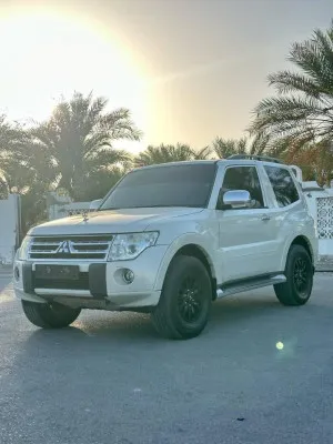 2010 ميتسوبيشي باجيرو GLS
