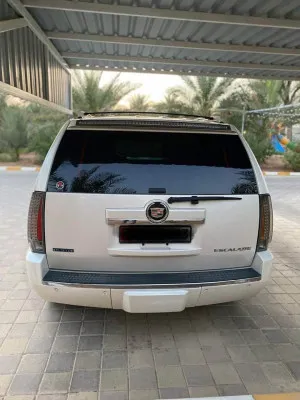2013 كاديلاك اسكاليد Premium Luxury