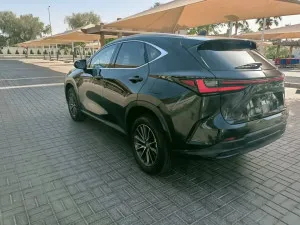 2025 لكزس NX - ان اكس NX350h
