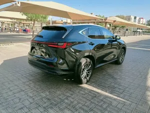 2025 لكزس NX - ان اكس NX350h