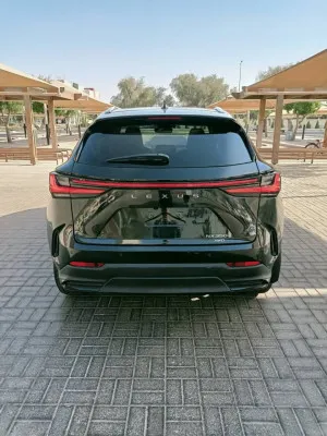 2025 لكزس NX - ان اكس NX350h