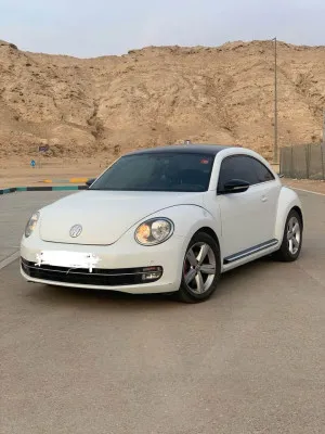 2015 فولجس فاجن بيتل Finial Edition SE