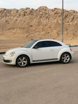 2015 فولجس فاجن بيتل Finial Edition SE