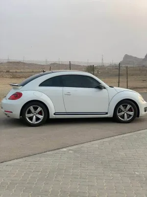 2015 فولجس فاجن بيتل Finial Edition SE