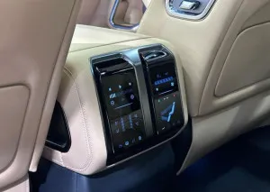 2025 بي واي دي ليوبارد