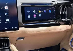 2025 بي واي دي ليوبارد