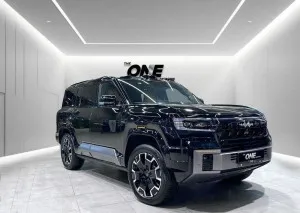 2025 بي واي دي ليوبارد