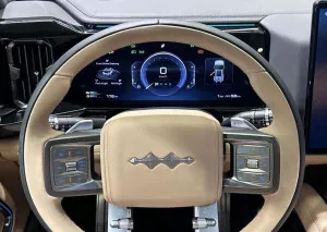 2025 بي واي دي ليوبارد