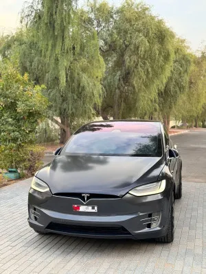 2019 تسلا X موديل Plaid
