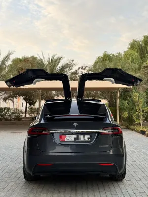 2019 تسلا X موديل Plaid