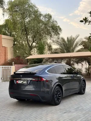 2019 تسلا X موديل Plaid