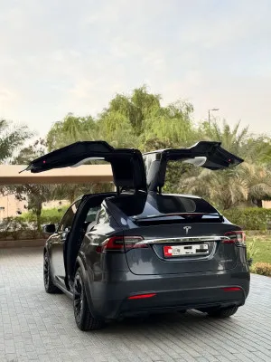 2019 تسلا X موديل Plaid