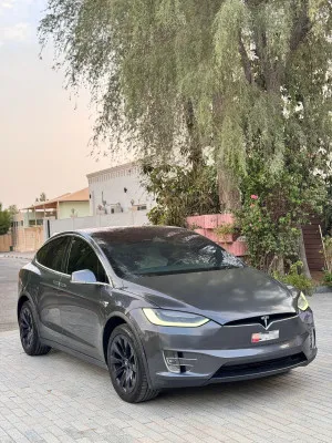 2019 تسلا X موديل Plaid