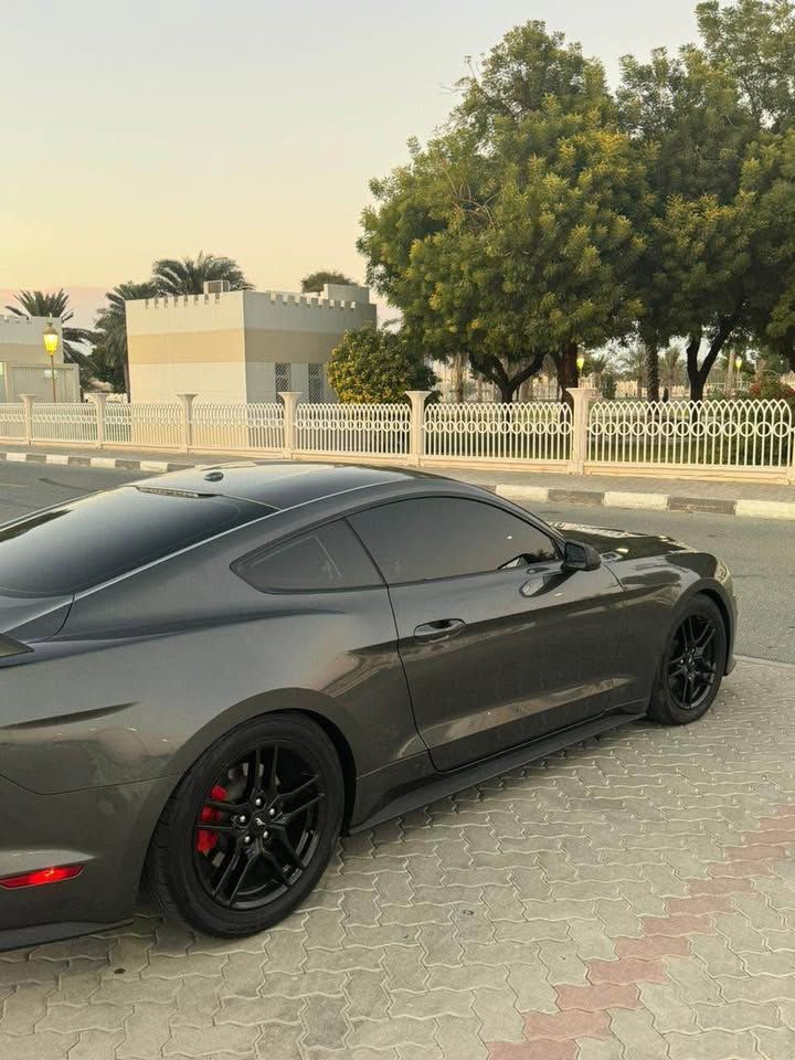 2020 فورد موستانج EcoBoost Fastback
