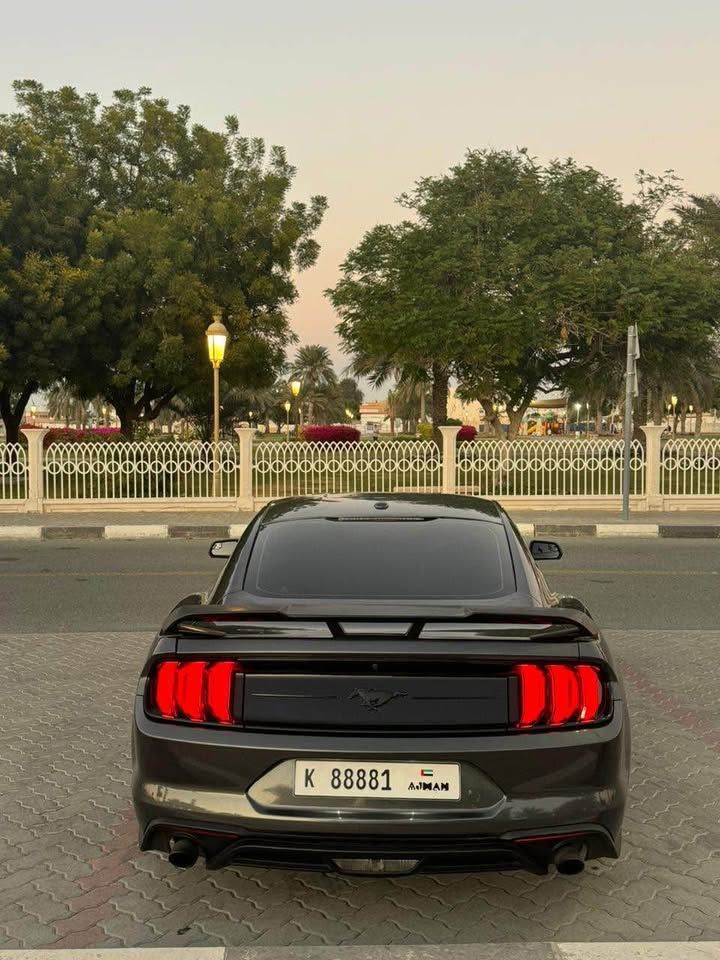 2020 فورد موستانج EcoBoost Fastback