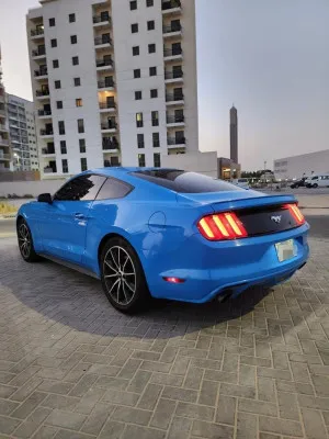2017 فورد موستانج EcoBoost