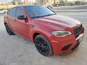 2013 BMW X6 50i