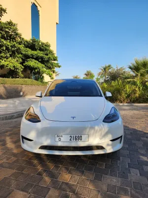 2024 Tesla Model Y Long Range
