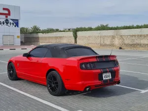 2013 فورد موستانج Shelby GT350