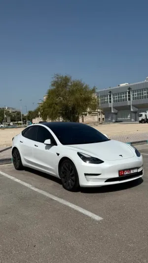 2022 Tesla MODEL 3 Performance