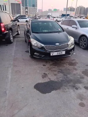 2013 Kia K3