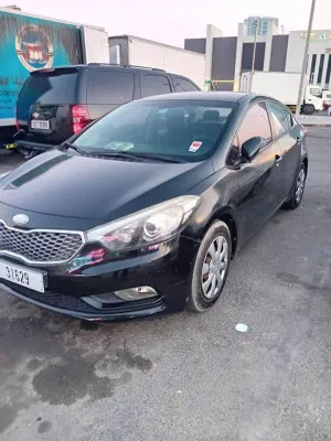 2013 Kia K3