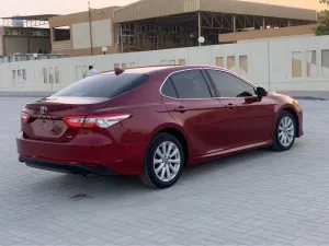 2019 تويوتا كامري LE