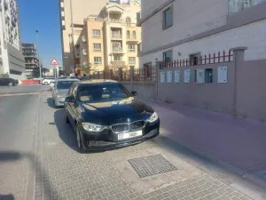 2013 بي أم دابليو الفئة - 3 316i