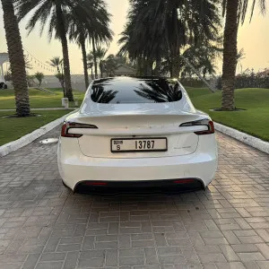 2024 Tesla MODEL 3 standard