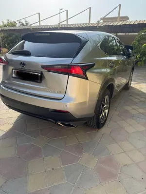2021 لكزس NX - ان اكس NX350