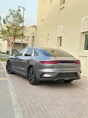 2024 بي واي دي هان