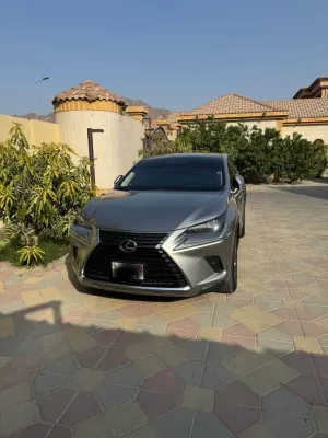 2021 لكزس NX - ان اكس NX350