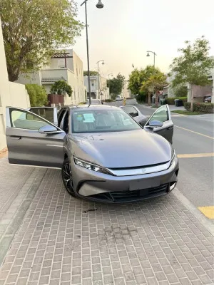 2024 بي واي دي هان
