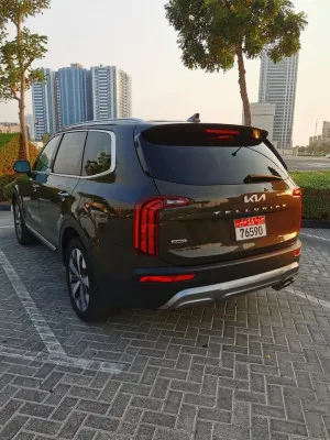 2022 Kia Telluride S